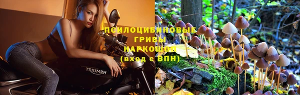 прущая мука Осинники