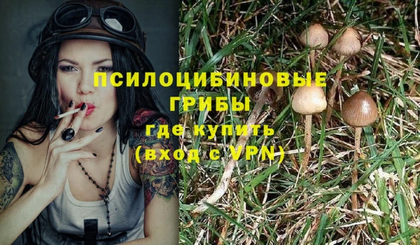 прущая мука Осинники